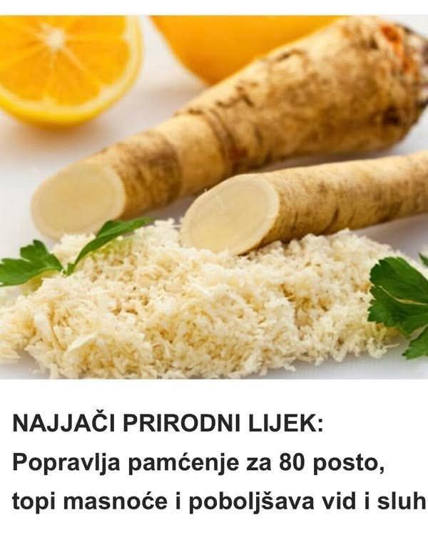 504433533_24179893458310402_4809454423600968658_n