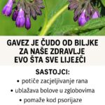 Gavez je ‘čudo’ od biljke za naše zdravlje: Evo šta sve liječi!
