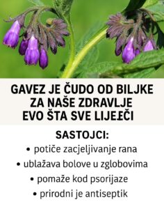 517181394_10228345830381087_3204929390222728402_n