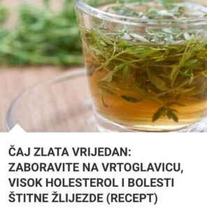 517999779_24163746436591771_2905066478592042525_n