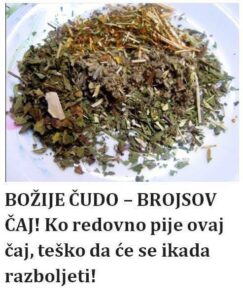 520223334_10228395779989796_6693884535758193298_n