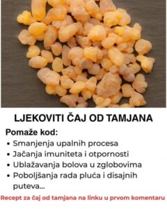 536173144_1301845421303600_6686823660427374835_n