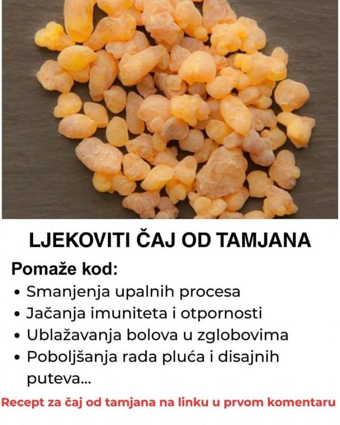 536173144_1301845421303600_6686823660427374835_n