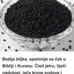 B0ŽIJA biljka, SP0MINJE se čak u Bibliji i Kur`anu: Čisti jetru, liječi NADUT0ST, jača krvne SUD0VE i imunitet