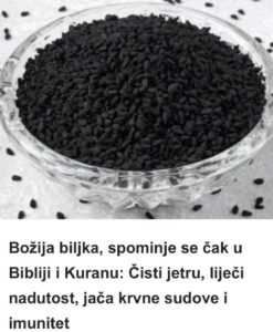 557605144_24921715137461560_5811579813068462452_n