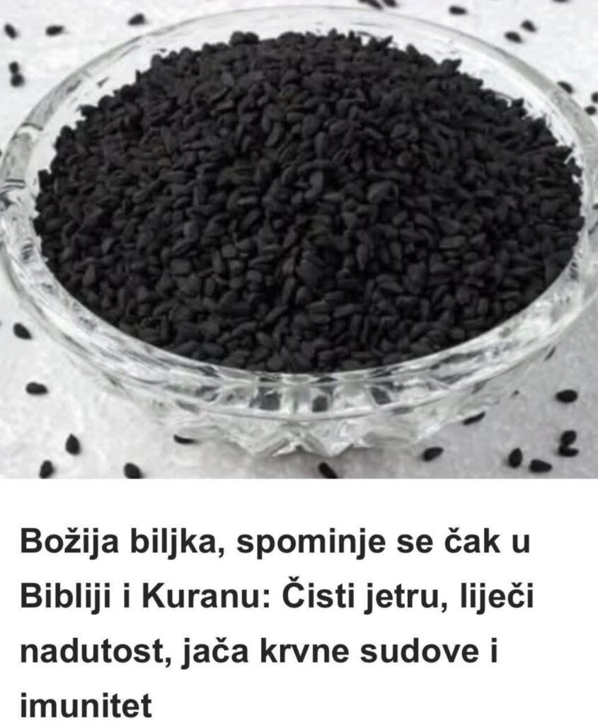 557605144_24921715137461560_5811579813068462452_n