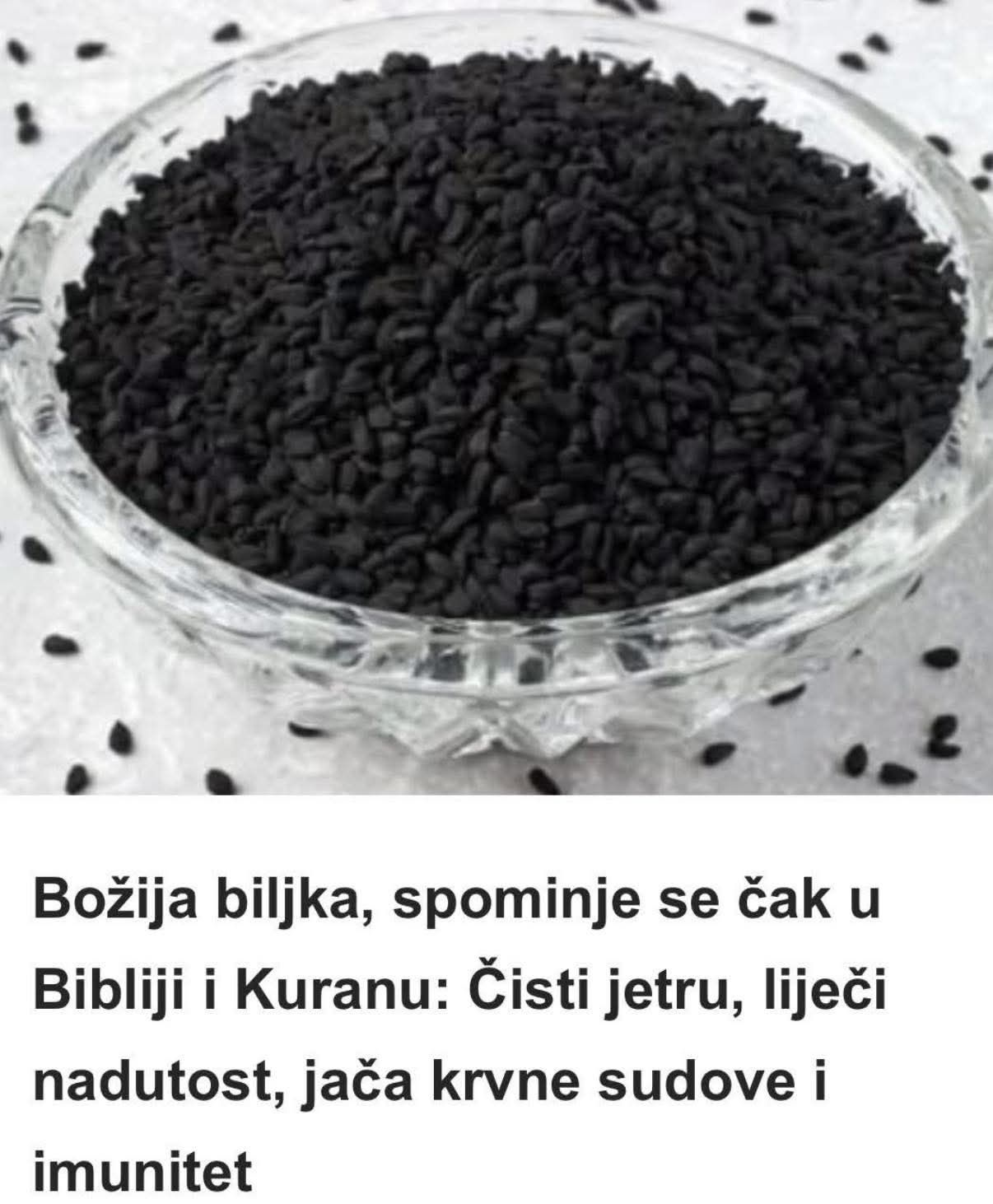 557605144_24921715137461560_5811579813068462452_n