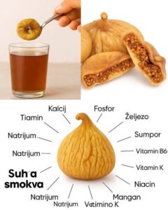 560491810_24986974114268995_3371640322425926394_n