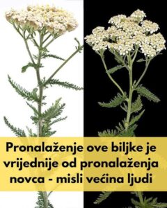 561147027_10229268737093178_3796549933886486074_n