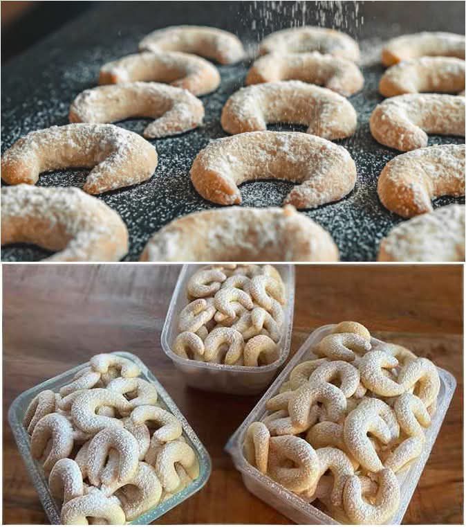 565117749_24984116711221402_750257987865141475_n