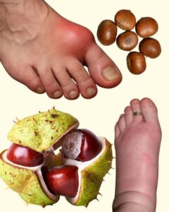 571218223_25131833259783079_6663606237913755613_n