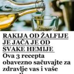 RAKIJA OD ŽALFIJE JE JAČA JE OD SVAKE HEMIJE: Ova 3 recepta obavezno sačuvajte za zdravlje vas i vaše porodice