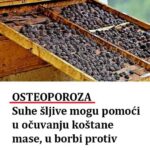 0STE0P0R0ZA: Suhe šljive M0GU P0M0ĆI u očuvanju koštane mase, u borbi PR0TIV UPALE