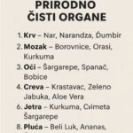 Namirnice koje Prirodno Podržavaju Vaše Organe: Ključni Saveznici za Zdravlje i Vitalnost