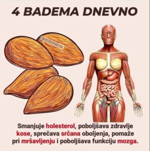 589549062_1256927146468453_130816248750564154_n