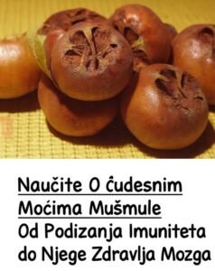 590445555_1258380426323125_1044790054382190192_n