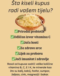 592156539_26343060685284436_5618057101483277072_n