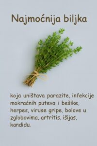 592365858_1170288571871753_835155851258236715_n