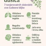 SEDAM NEVJER0VATNIH D0BR0BITI MAJČINE DUŠICE