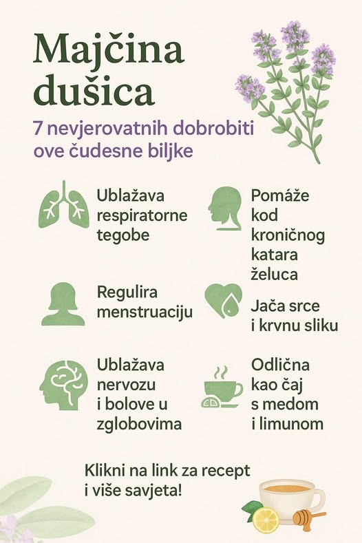 592920679_1444217783931600_8138675867719641394_n