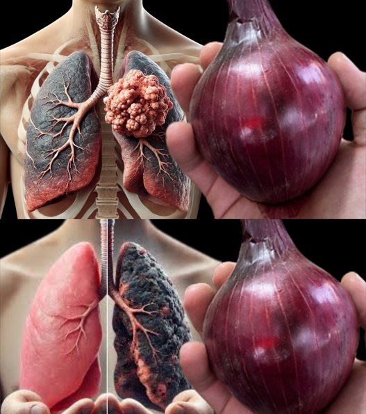 593550519_1403996347754445_6126264466671208560_n