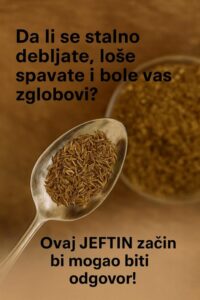 594078010_1174497884784155_5111683656845373905_n