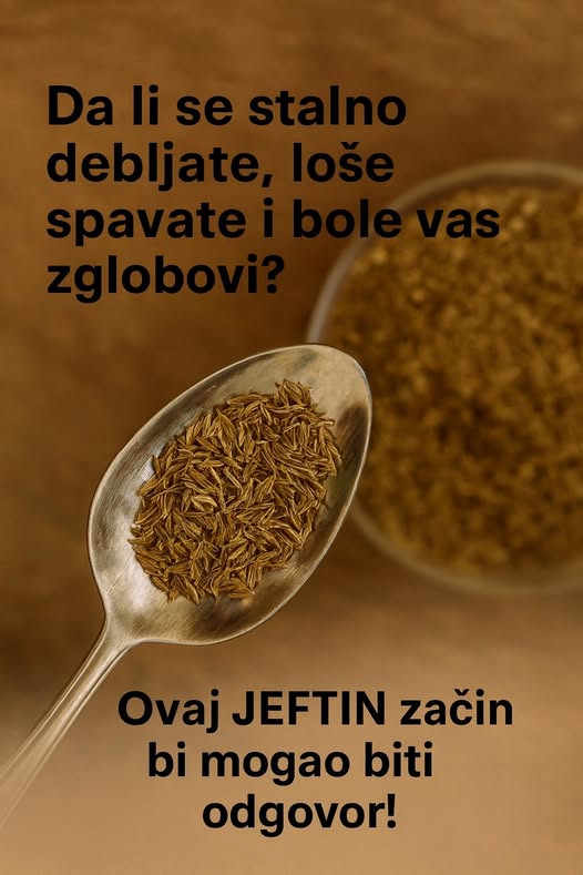 594078010_1174497884784155_5111683656845373905_n