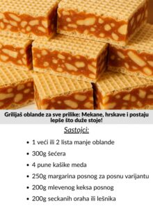 594413267_1823893422281833_7159916355360022905_n