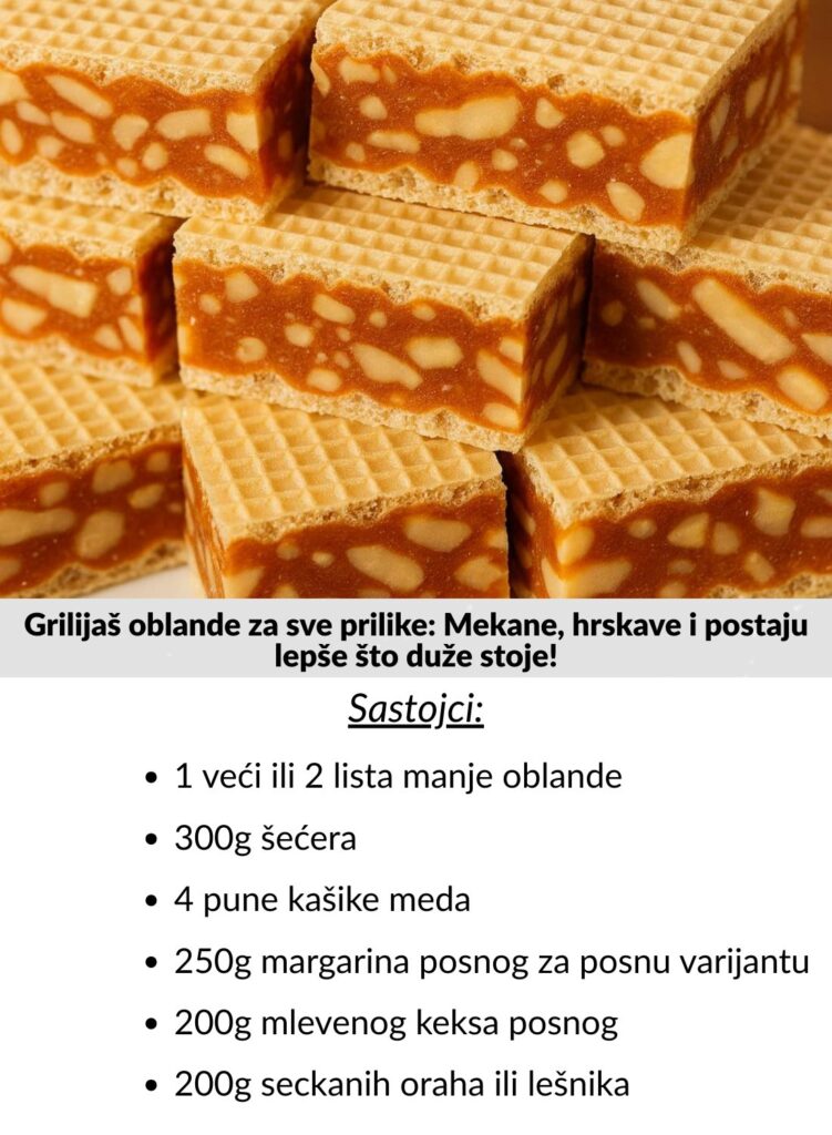 594413267_1823893422281833_7159916355360022905_n