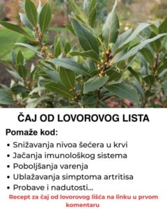 594694026_1221475803174885_2214248118727736688_n