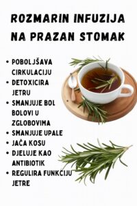 594961635_122172014456763532_1011051160936928078_n