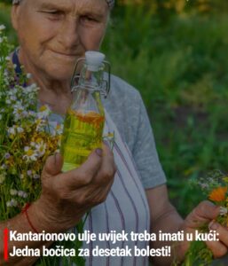 594975978_1406517357502344_1273663833771741131_n