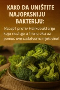 595608189_122202529040367064_4385380379701210511_n