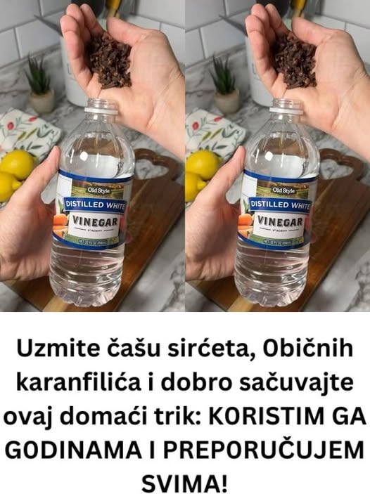 595702923_1448126343540744_7560871615073747838_n