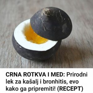 597664864_122158409468694359_7595408317351057010_n