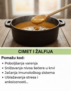 597784093_122158122704694359_489503854652693141_n