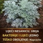 LiječI nesanicu, kurje očI I “smrt” je za gljivice I bakterije: napravite čaj ili kupku od moćne biljke u koju se I ljekari kunu