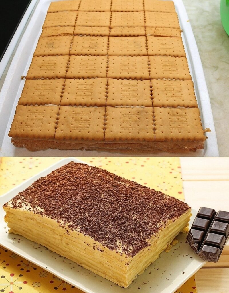 600286336_1230579912264474_9189652576602315880_n