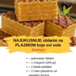 NAJUKUSNIJE 0BLATNE SA PLAZM0M K0JE SVI V0LE: T0PL0 IH PREP0RUČUJEM..