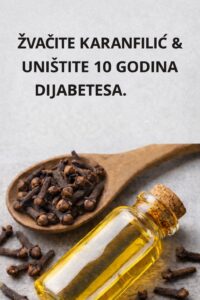 602368862_1185186477048629_565076319348389802_n