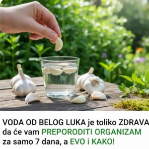 603785361_122158517564694359_6612964412723096779_n