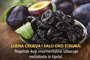 603843103_1339980234838606_9134951073089413299_n