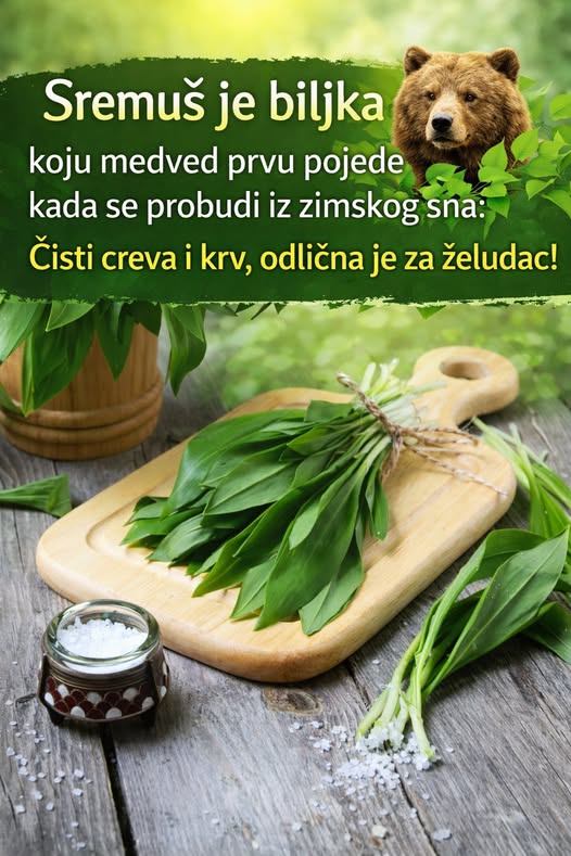 603856205_122204591282367064_3645251785095176214_n