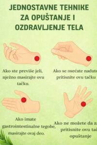 604610348_1340219054814724_2376237296586473393_n