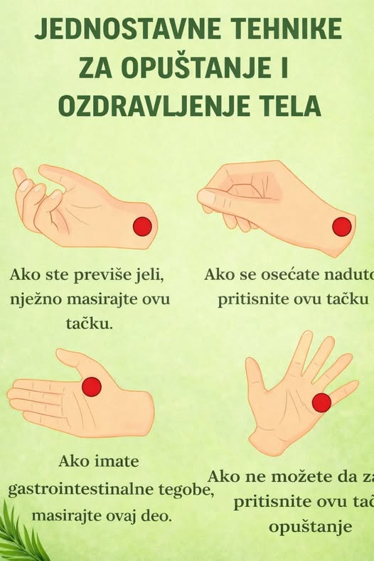 604610348_1340219054814724_2376237296586473393_n