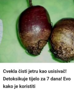 604955754_1419638196190260_1244355657418387772_n