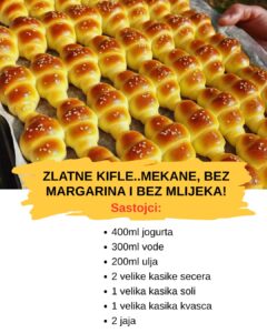 607078644_1460839248936120_775958079972180411_n