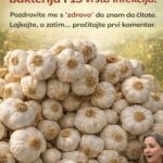 Prirodni štit organizma: Domaći eliksir od belog luka i meda koji uništava bakterije i podiže imunitet iz korena