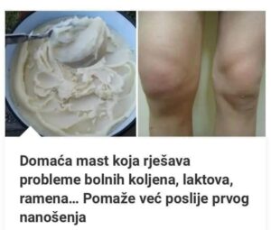 475310098_9282401571819502_7212612298960706743_n