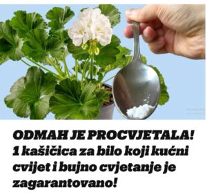 516547496_10228336803075410_2361818525472772745_n